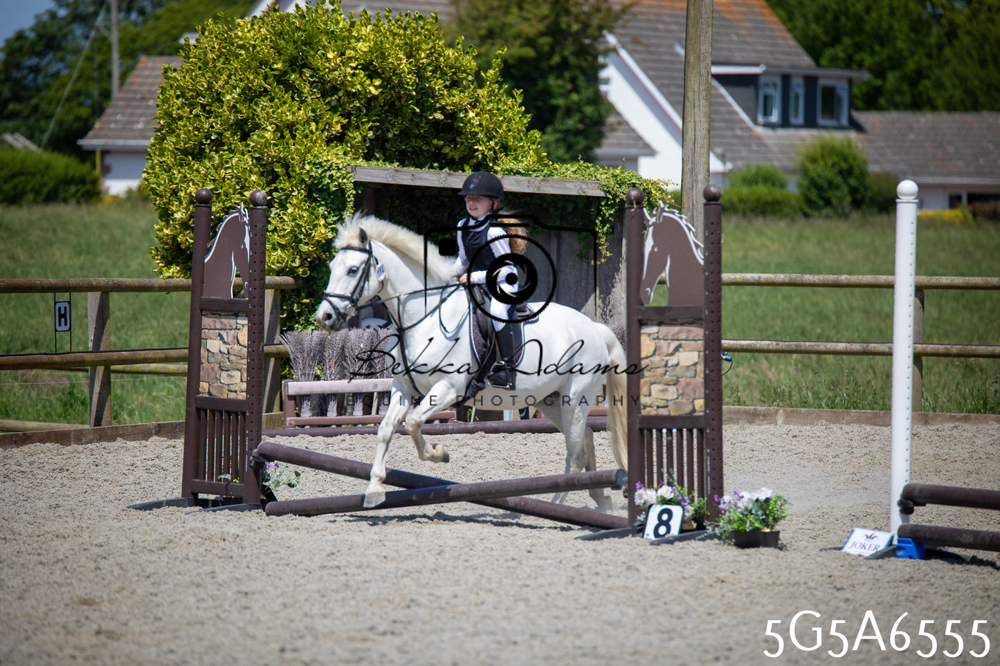 Home Farm Show Jumping 24th May 2026
