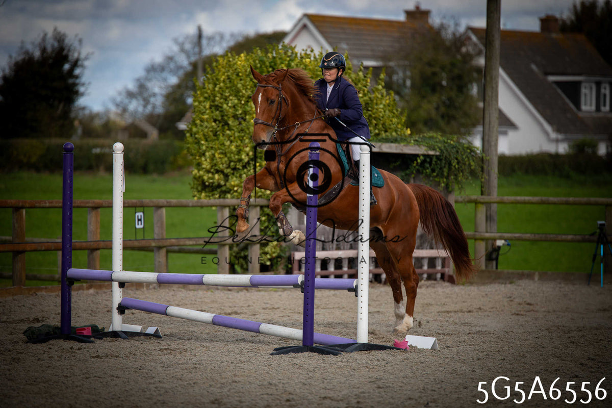Funshine Show Jumping 2026 - Seniors
