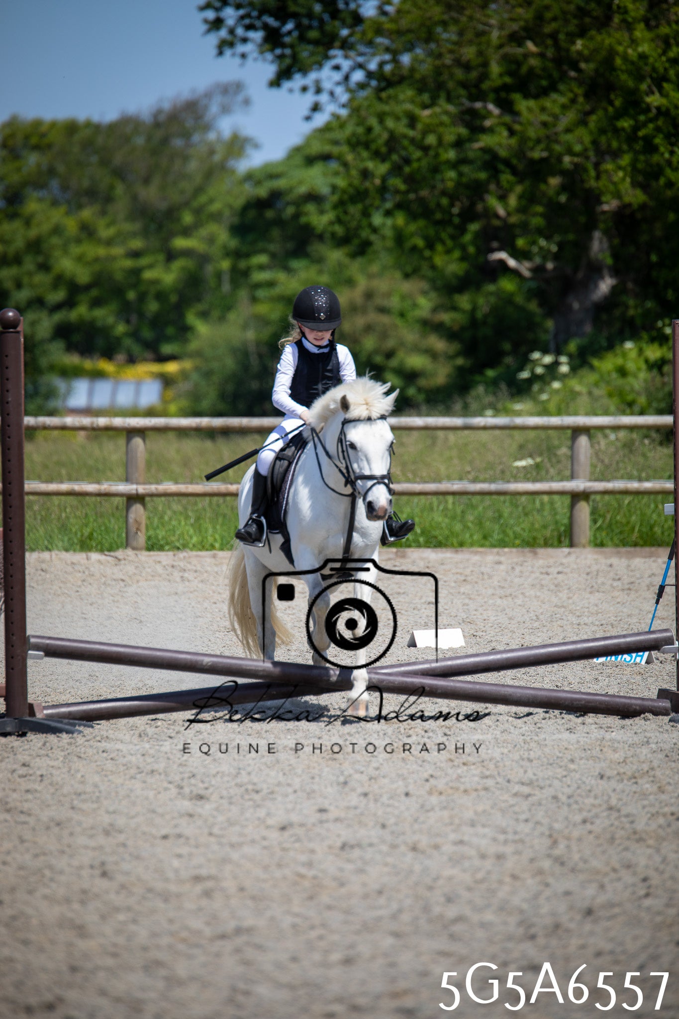 Home Farm Show Jumping 24th May 2026