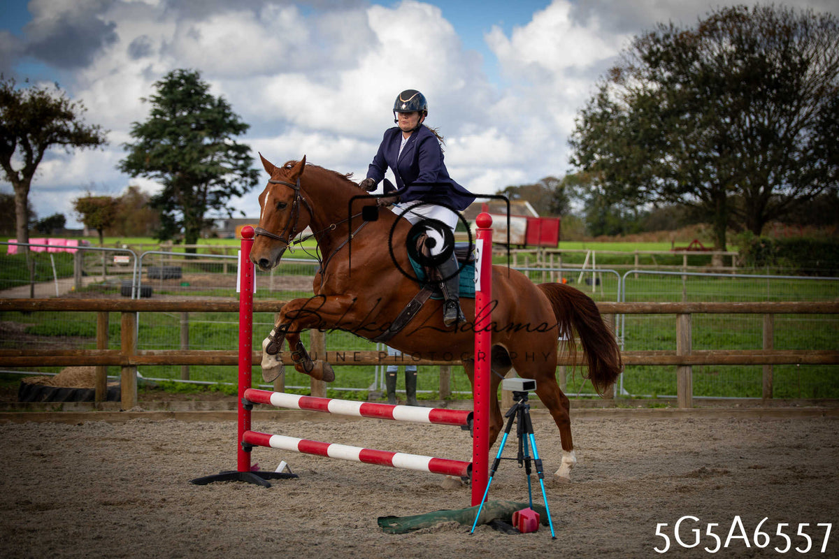 Funshine Show Jumping 2026 - Seniors