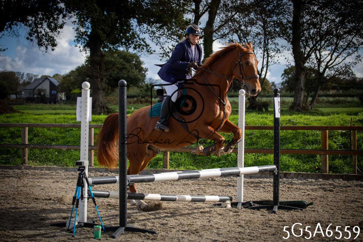 Funshine Show Jumping 2026 - Seniors