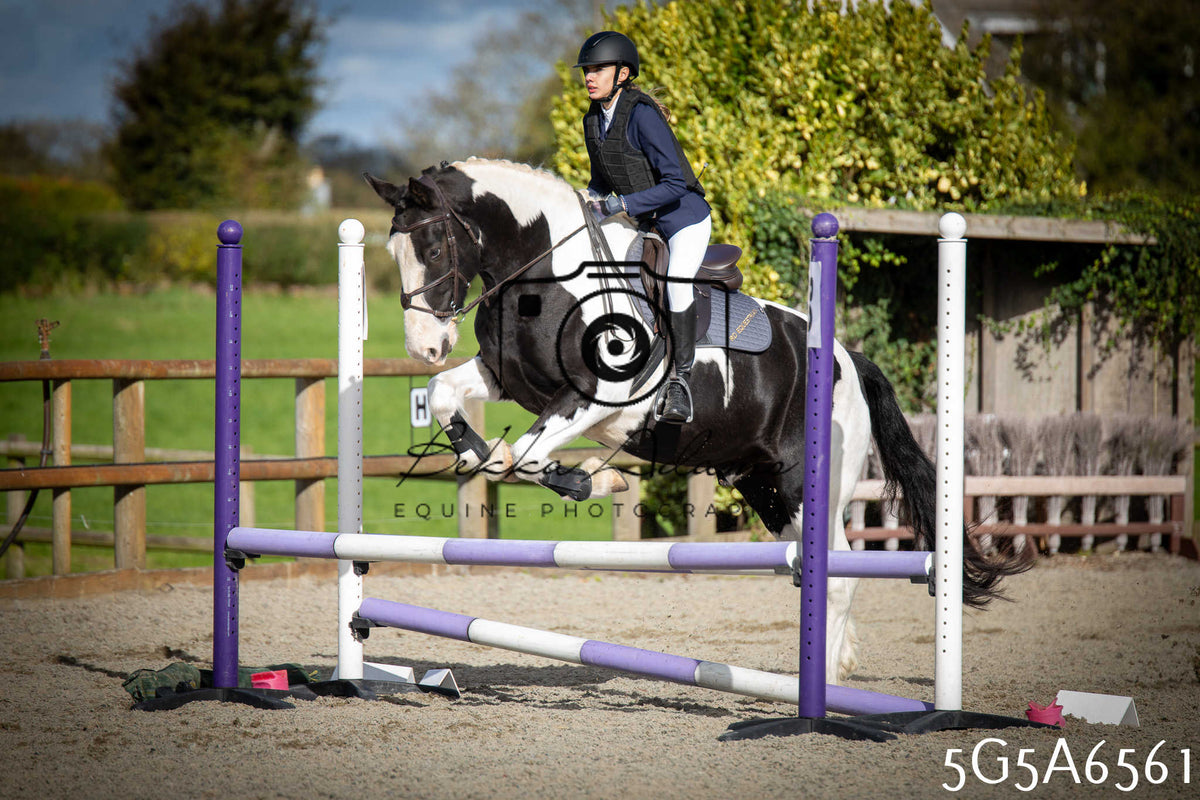 Funshine Show Jumping 2026 - Seniors