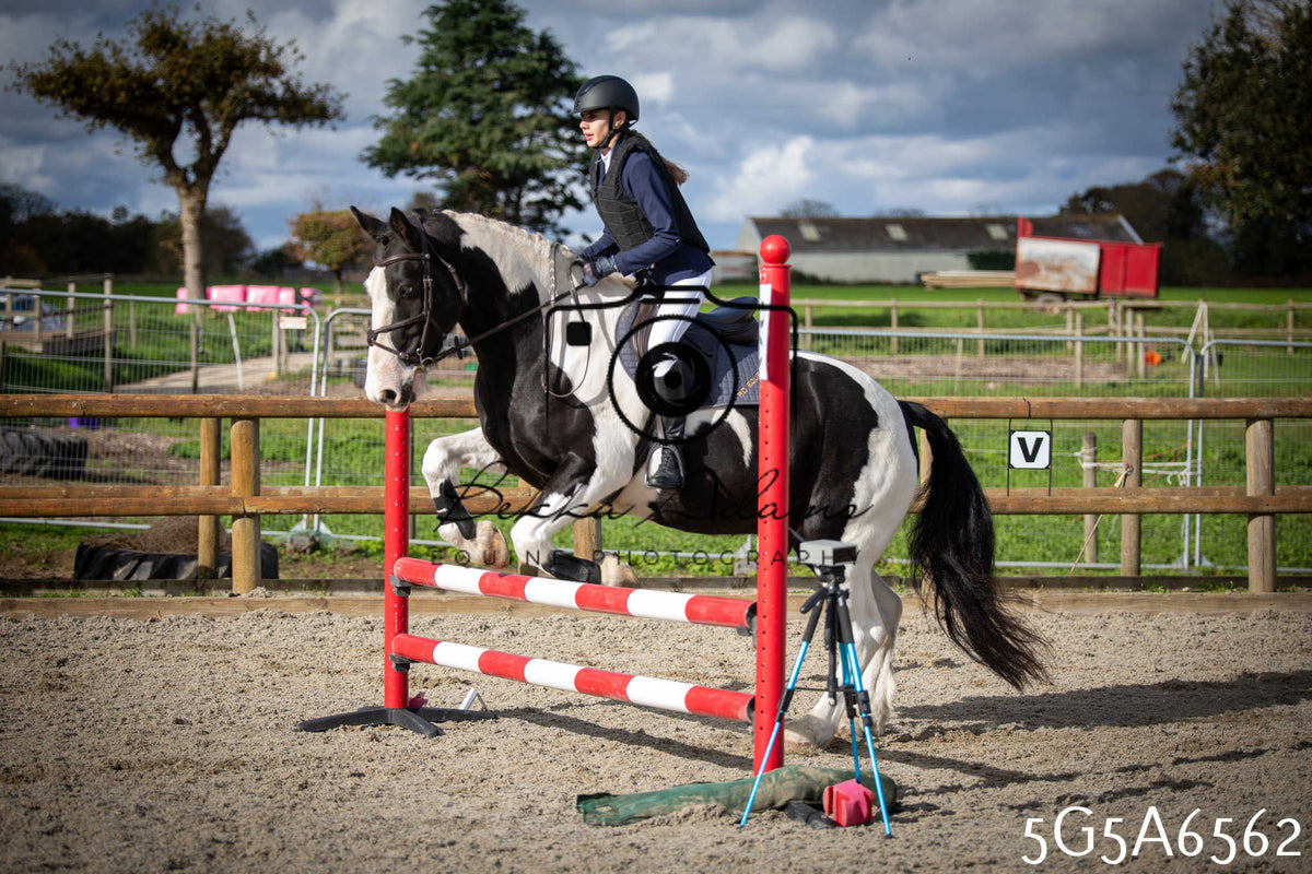 Funshine Show Jumping 2026 - Seniors