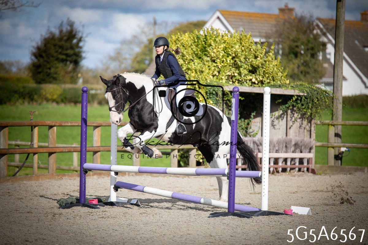 Funshine Show Jumping 2026 - Seniors