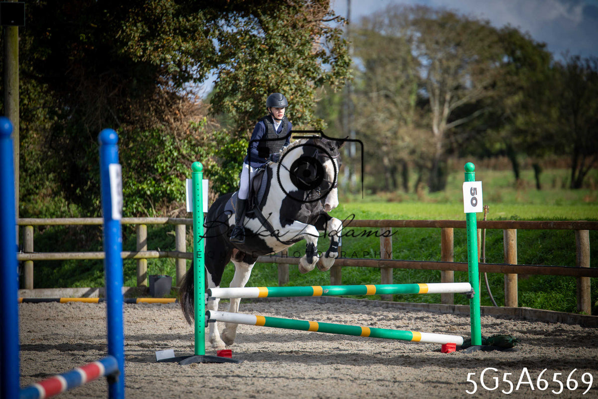 Funshine Show Jumping 2026 - Seniors