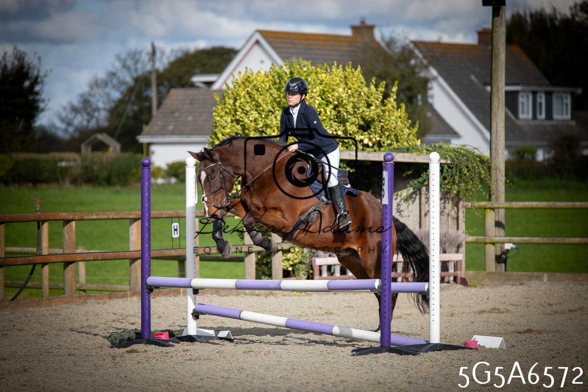 Funshine Show Jumping 2026 - Seniors