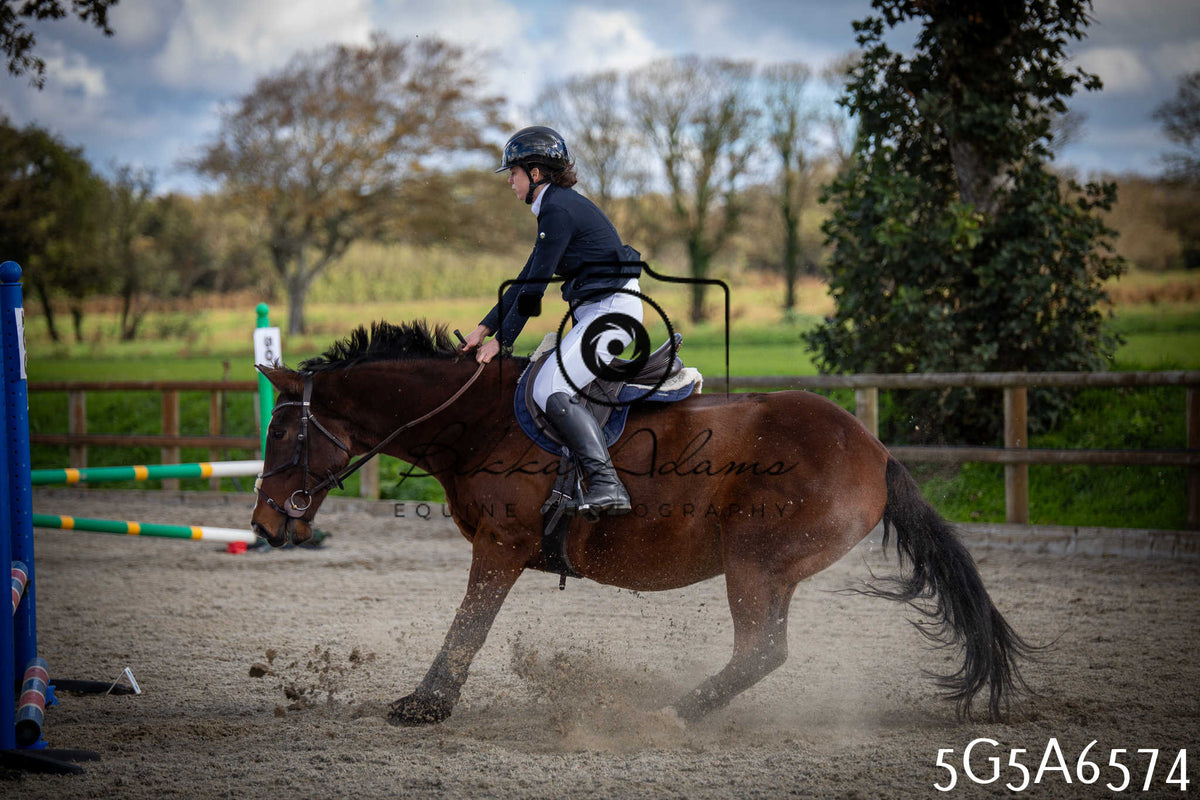 Funshine Show Jumping 2026 - Seniors