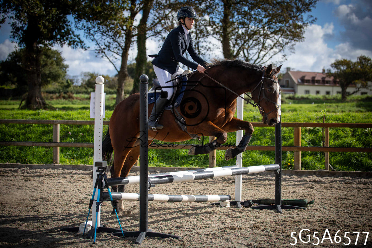 Funshine Show Jumping 2026 - Seniors