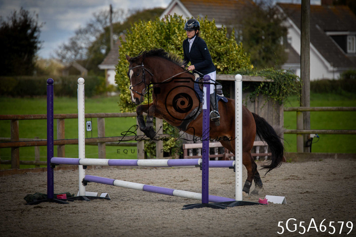 Funshine Show Jumping 2026 - Seniors