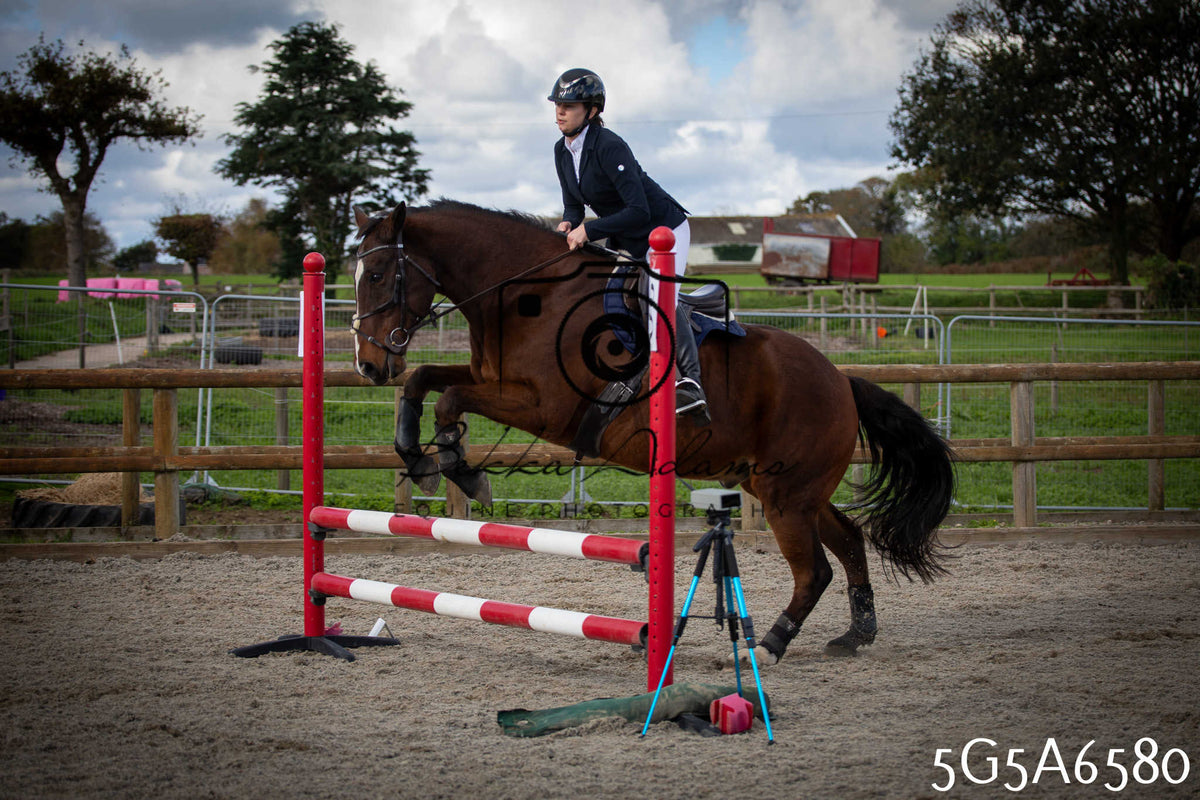 Funshine Show Jumping 2026 - Seniors