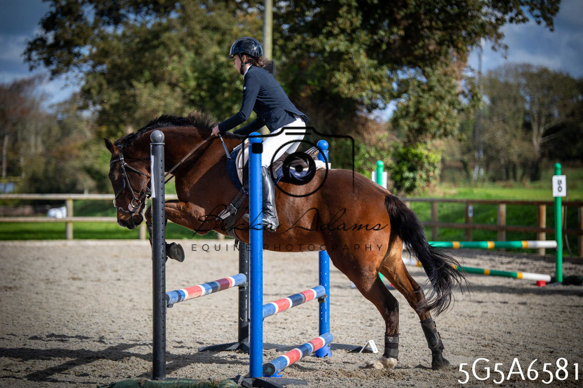 Funshine Show Jumping 2026 - Seniors