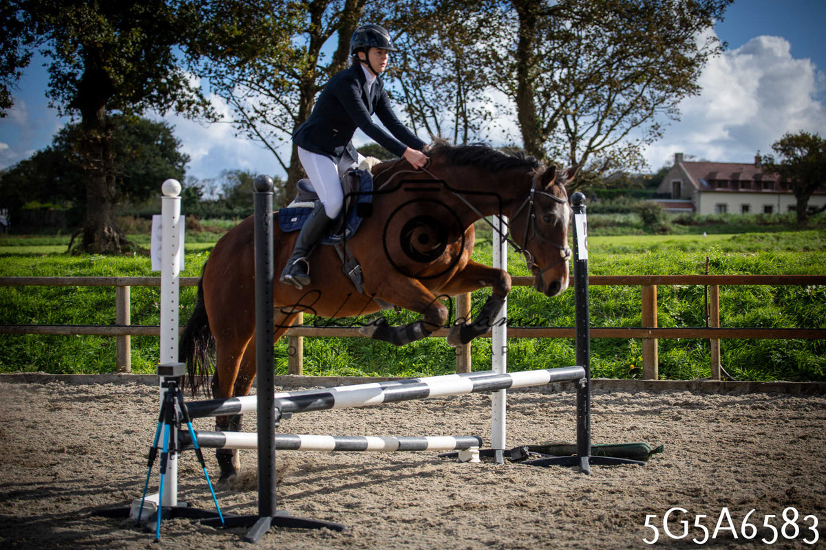 Funshine Show Jumping 2026 - Seniors