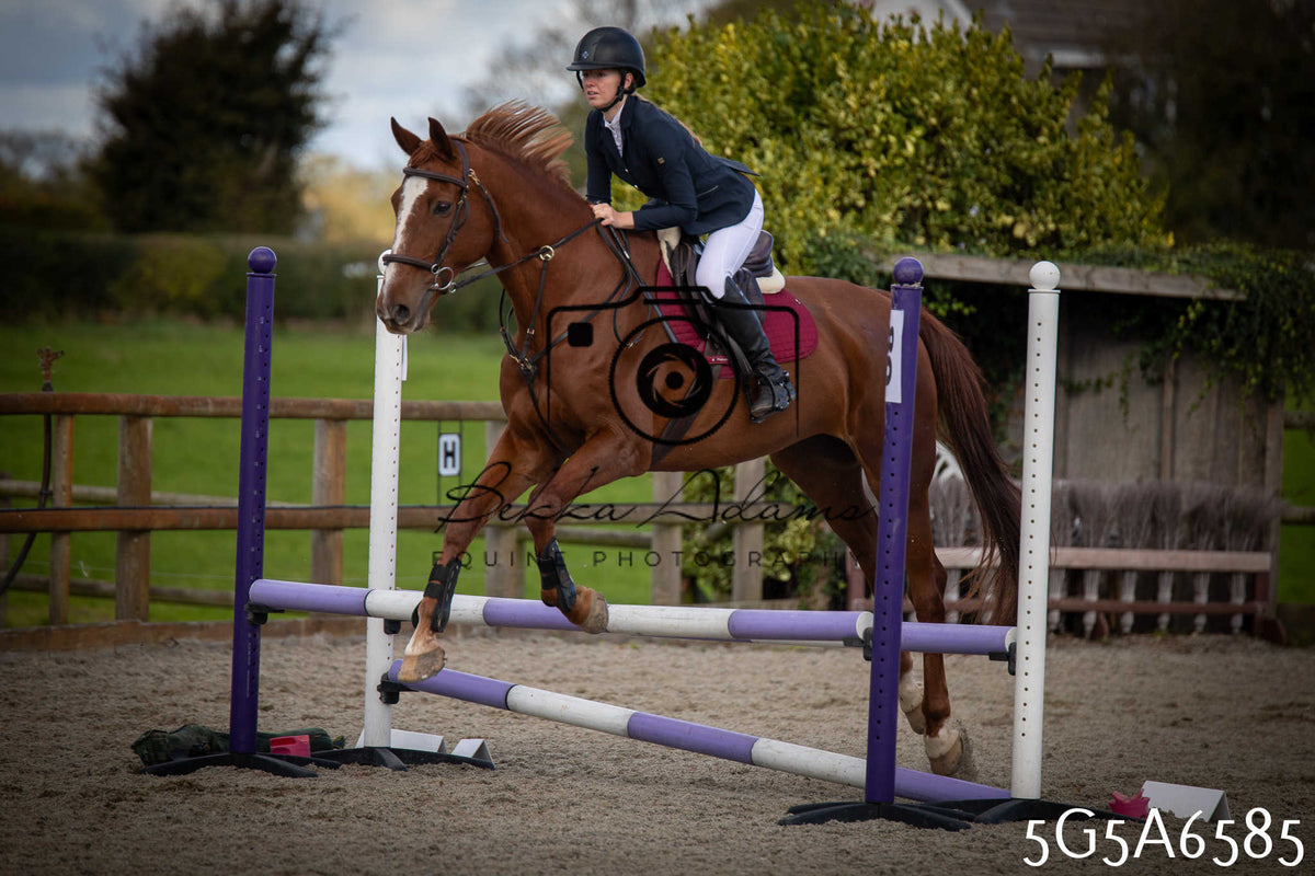 Funshine Show Jumping 2026 - Seniors