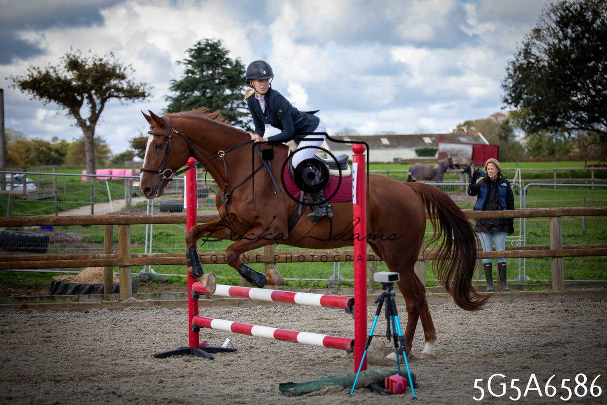 Funshine Show Jumping 2026 - Seniors