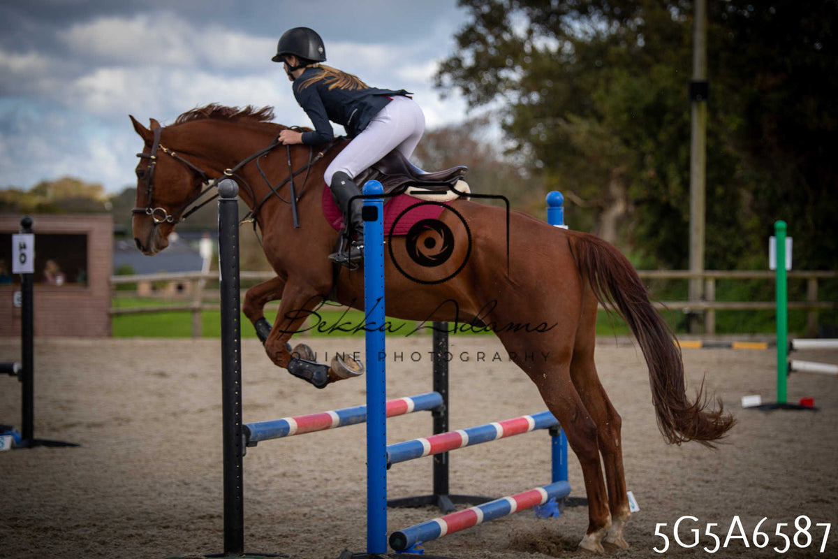 Funshine Show Jumping 2026 - Seniors