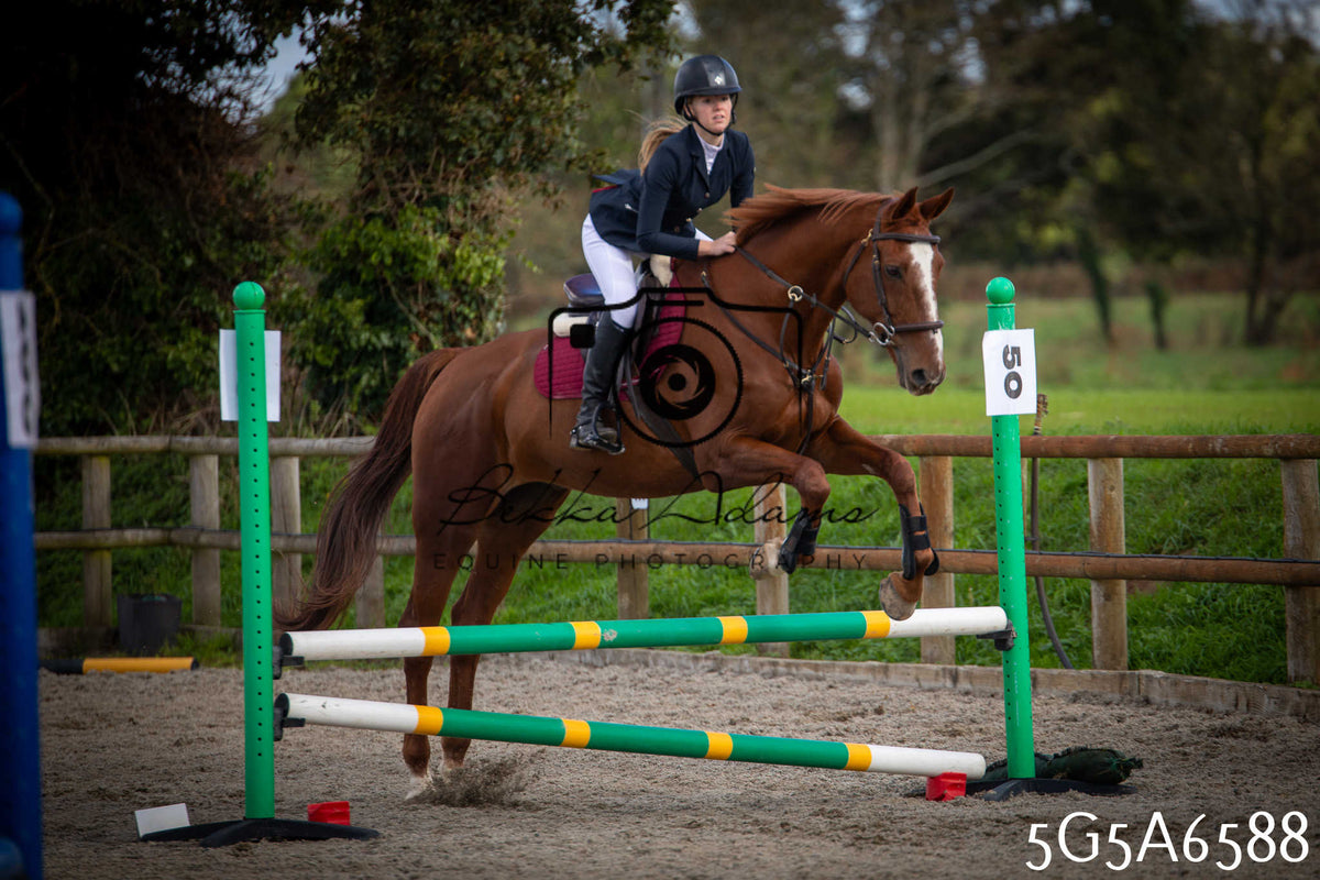 Funshine Show Jumping 2026 - Seniors