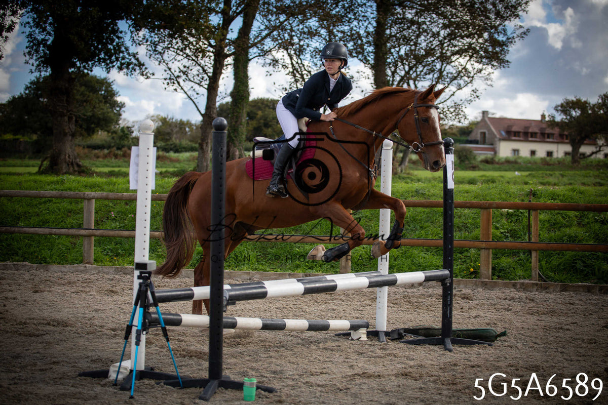 Funshine Show Jumping 2026 - Seniors