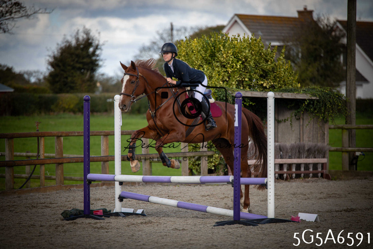 Funshine Show Jumping 2026 - Seniors