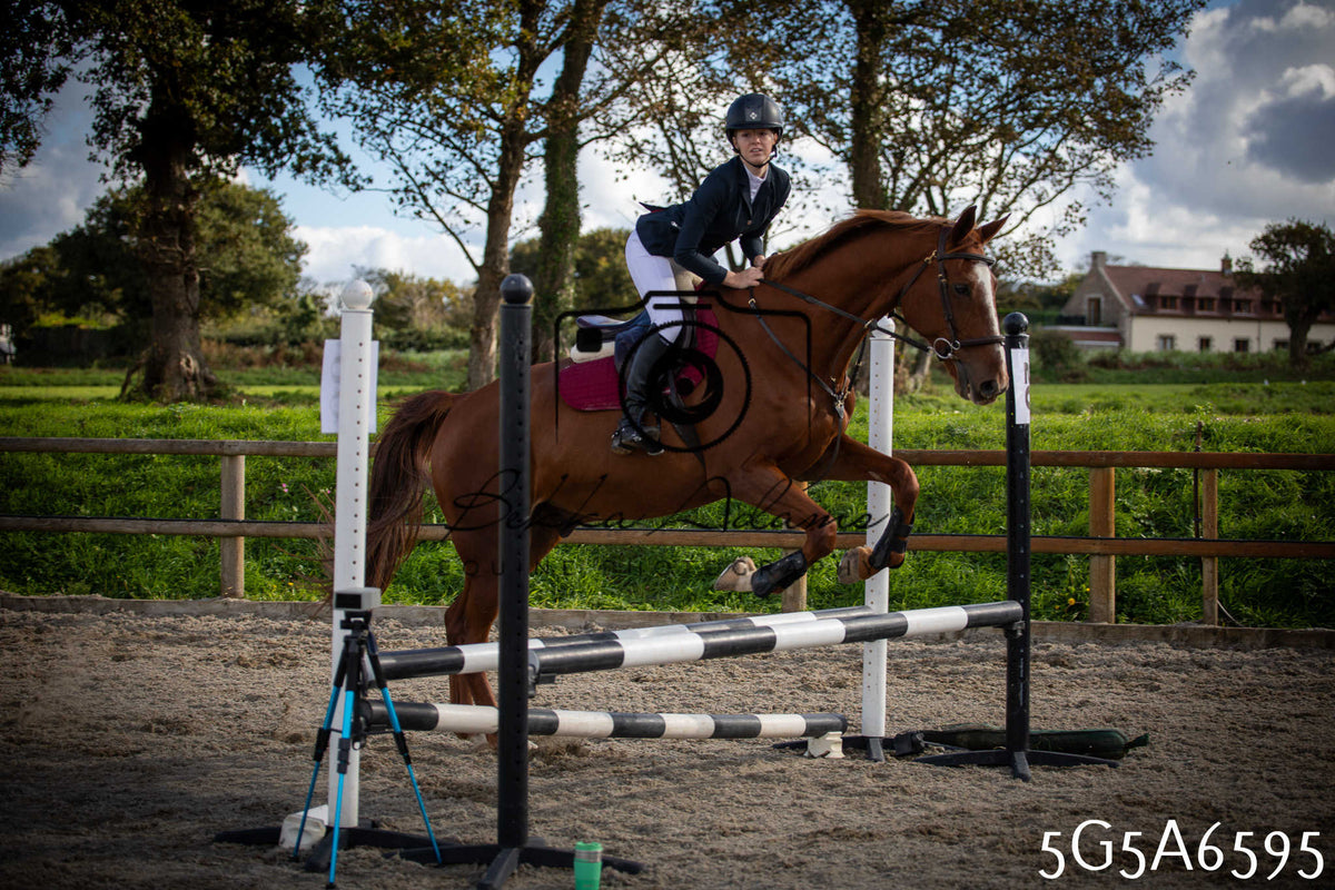 Funshine Show Jumping 2026 - Seniors