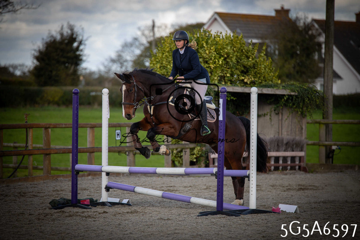 Funshine Show Jumping 2026 - Seniors