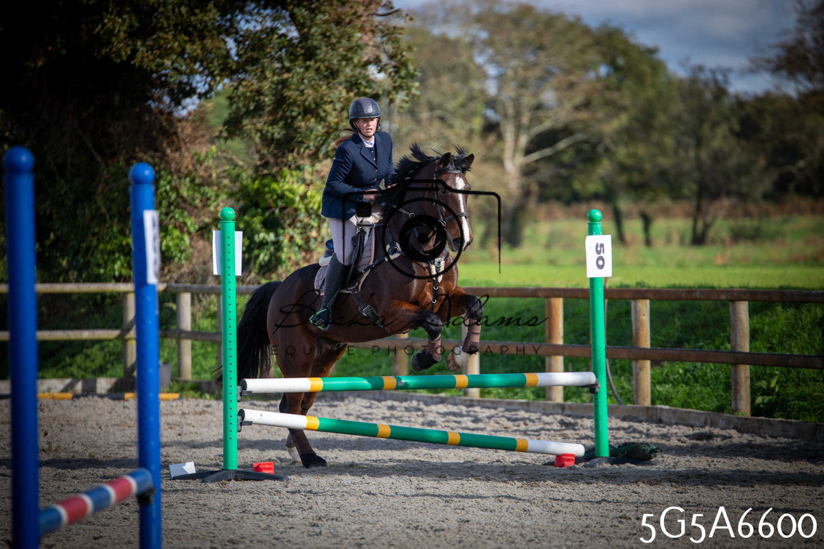 Funshine Show Jumping 2026 - Seniors