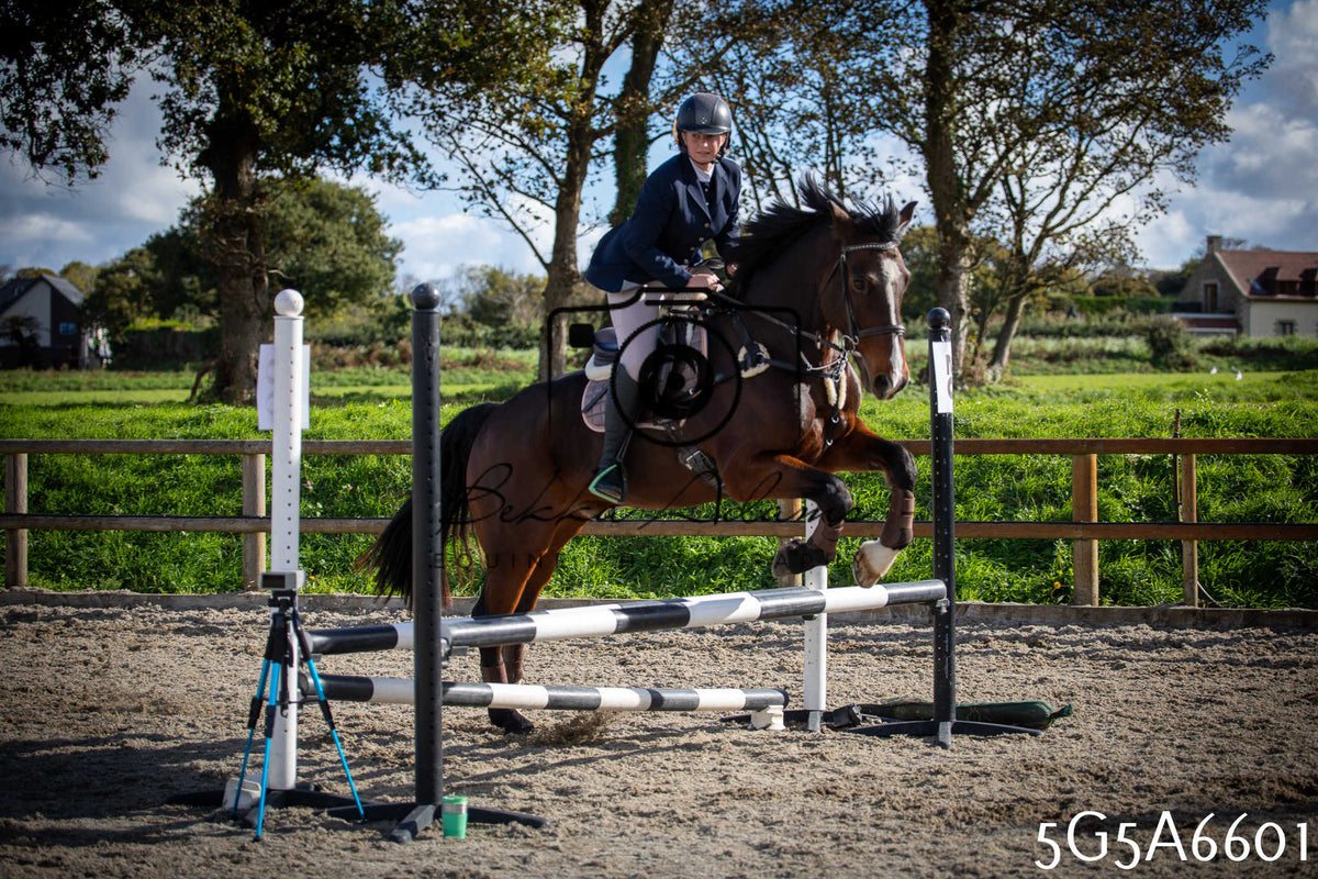Funshine Show Jumping 2026 - Seniors