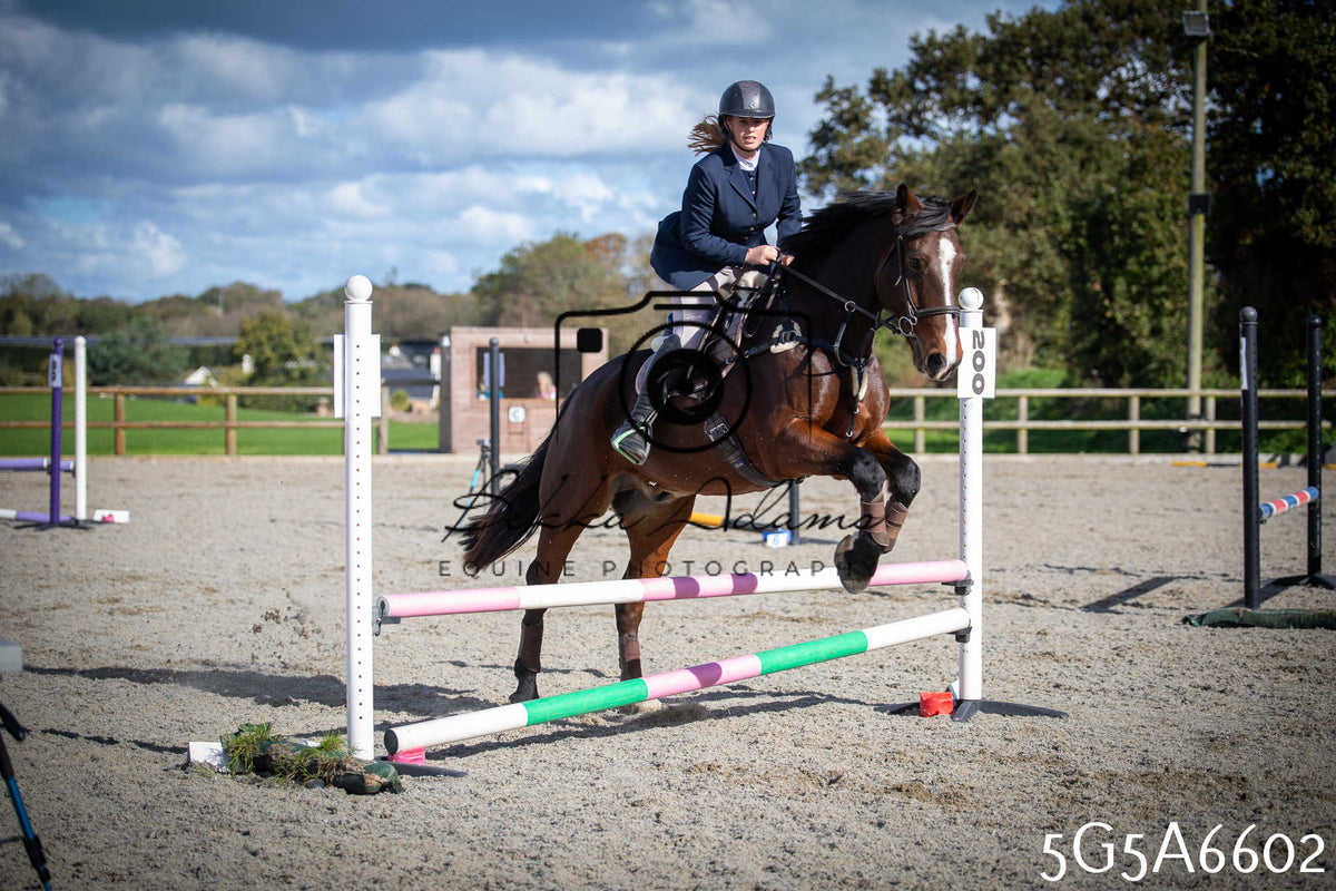 Funshine Show Jumping 2026 - Seniors