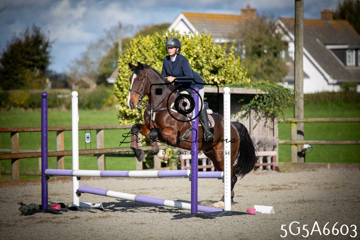 Funshine Show Jumping 2026 - Seniors