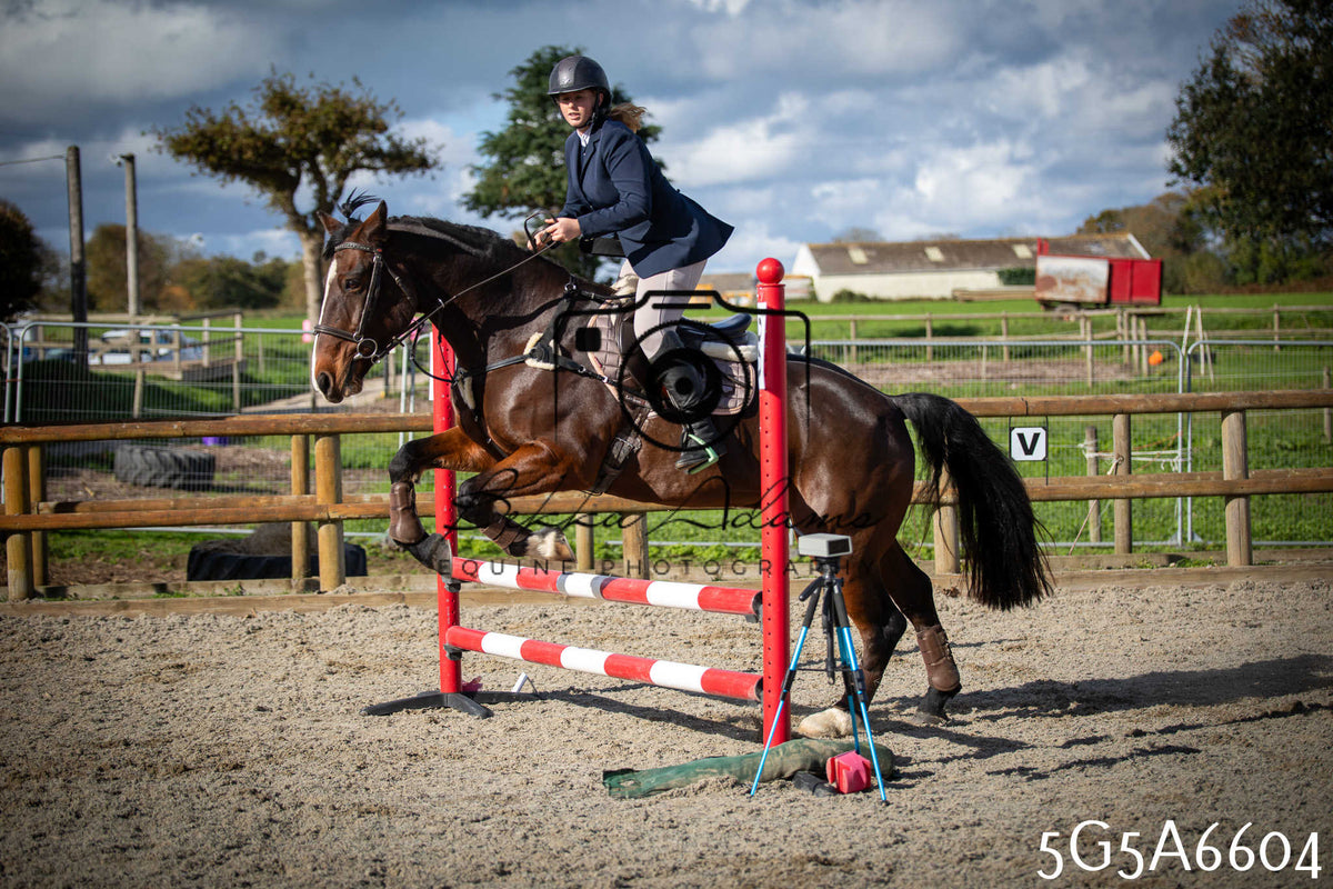Funshine Show Jumping 2026 - Seniors