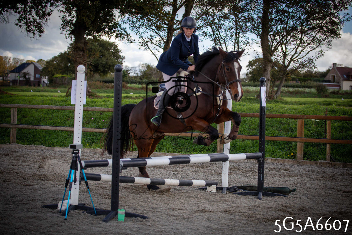 Funshine Show Jumping 2026 - Seniors