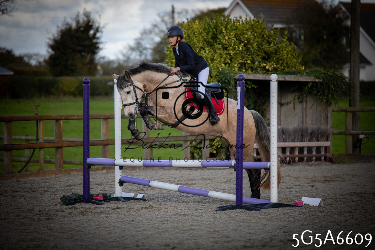 Funshine Show Jumping 2026 - Seniors