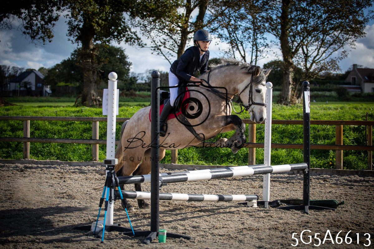 Funshine Show Jumping 2026 - Seniors