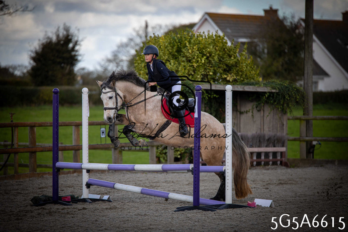 Funshine Show Jumping 2026 - Seniors