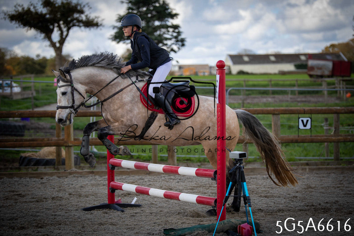 Funshine Show Jumping 2026 - Seniors