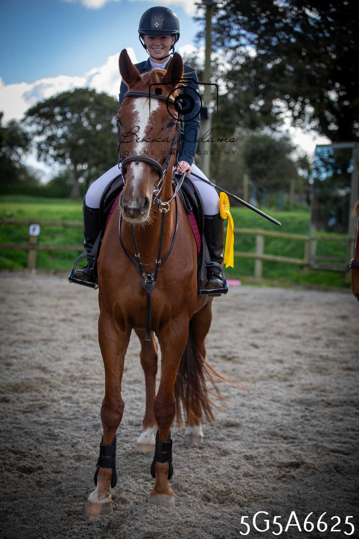 Funshine Show Jumping 2026 - Seniors