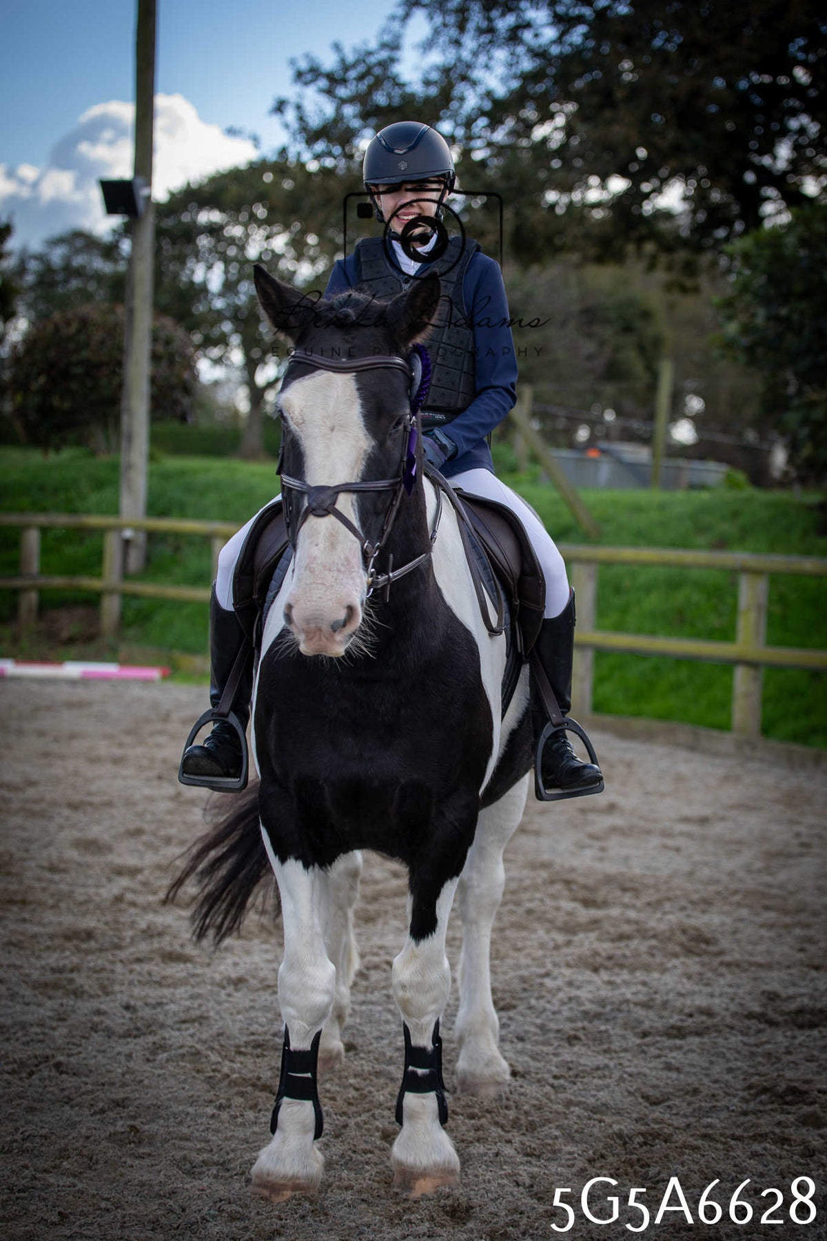 Funshine Show Jumping 2026 - Seniors