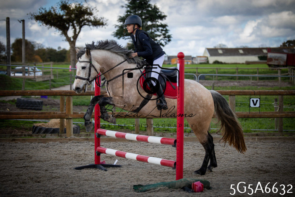 Funshine Show Jumping 2026 - Seniors