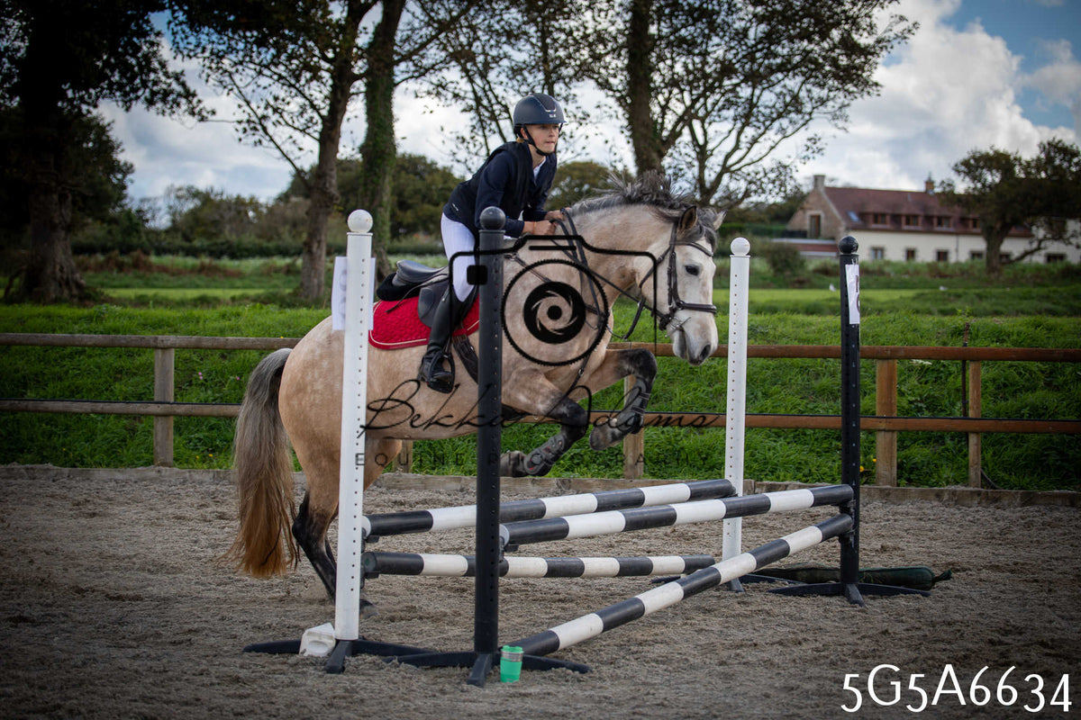 Funshine Show Jumping 2026 - Seniors