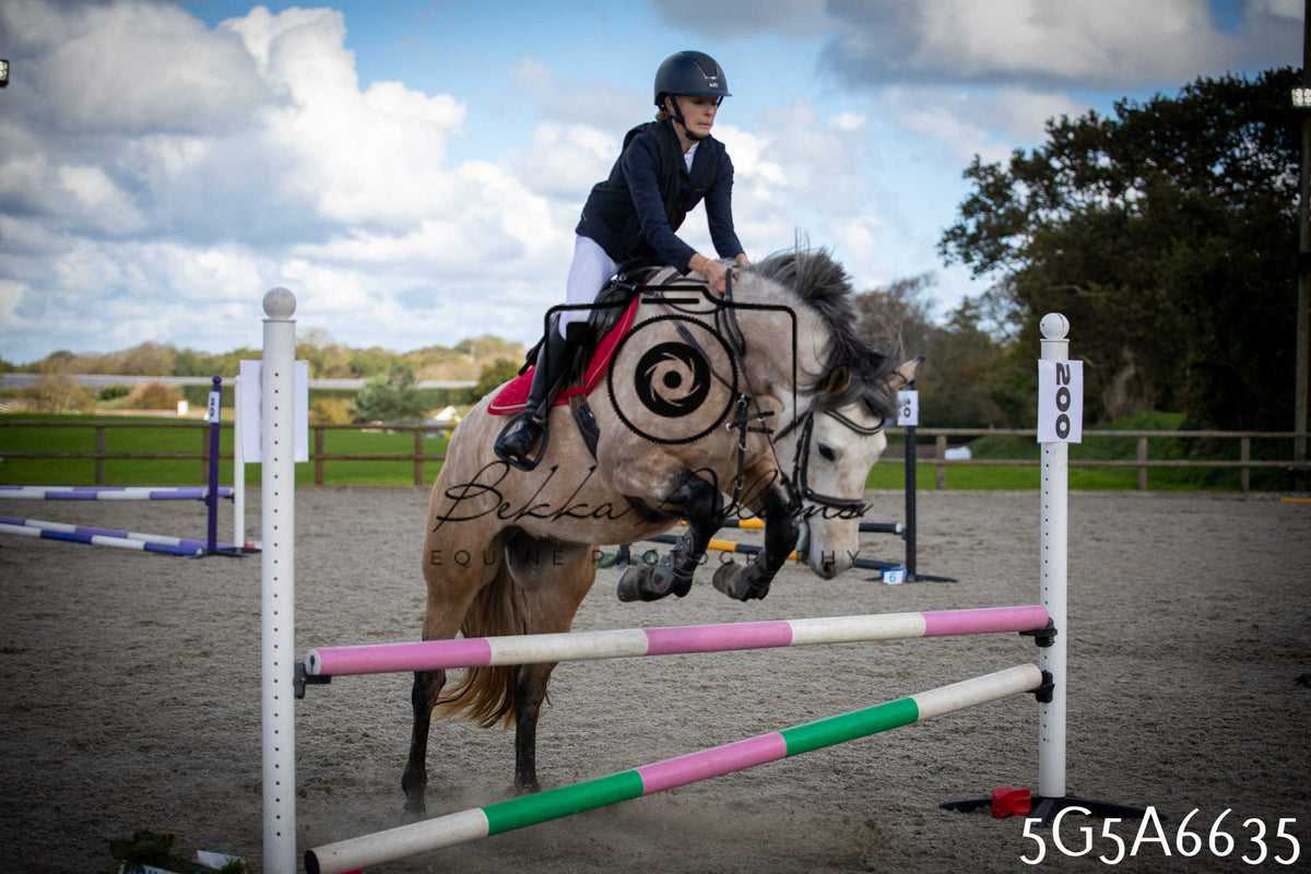 Funshine Show Jumping 2026 - Seniors