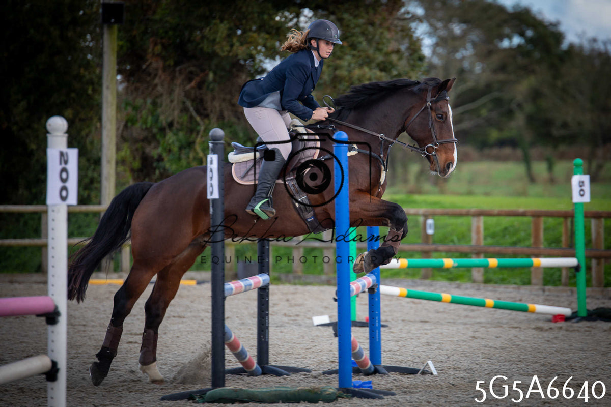 Funshine Show Jumping 2026 - Seniors
