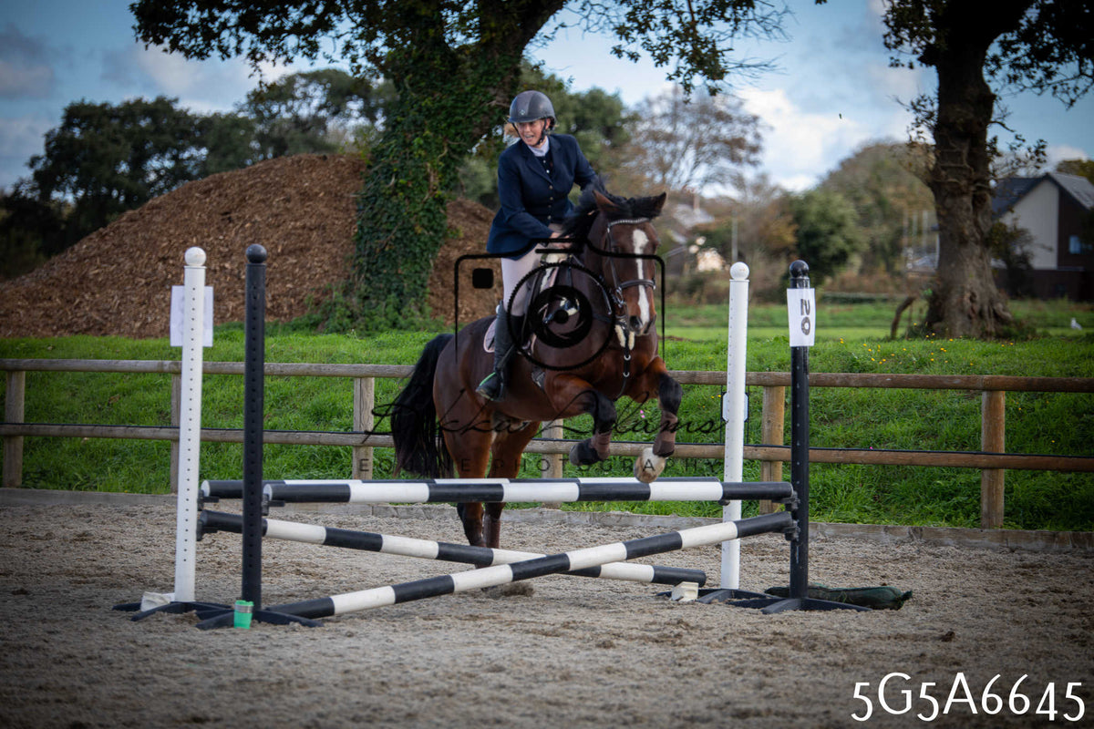 Funshine Show Jumping 2026 - Seniors