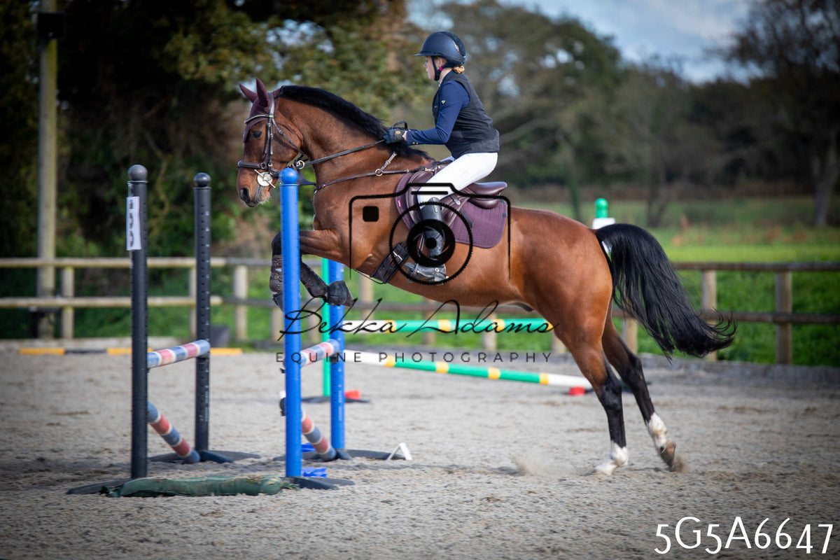 Funshine Show Jumping 2026 - Seniors