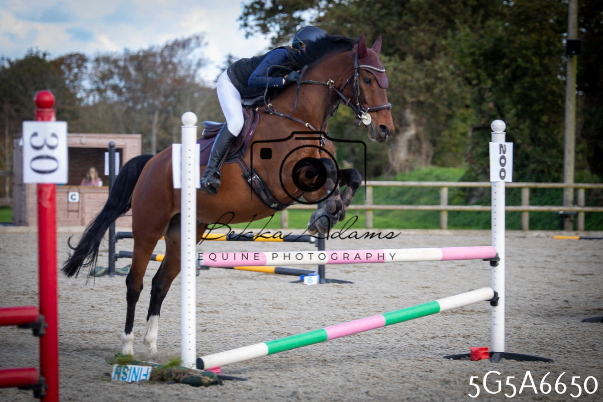 Funshine Show Jumping 2026 - Seniors