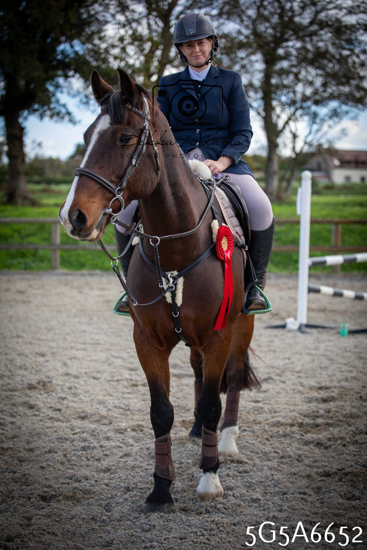 Funshine Show Jumping 2026 - Seniors