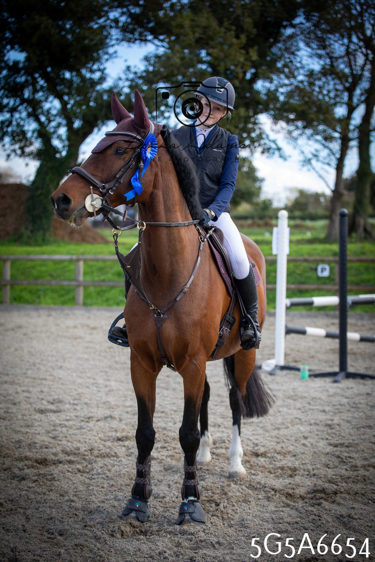 Funshine Show Jumping 2026 - Seniors