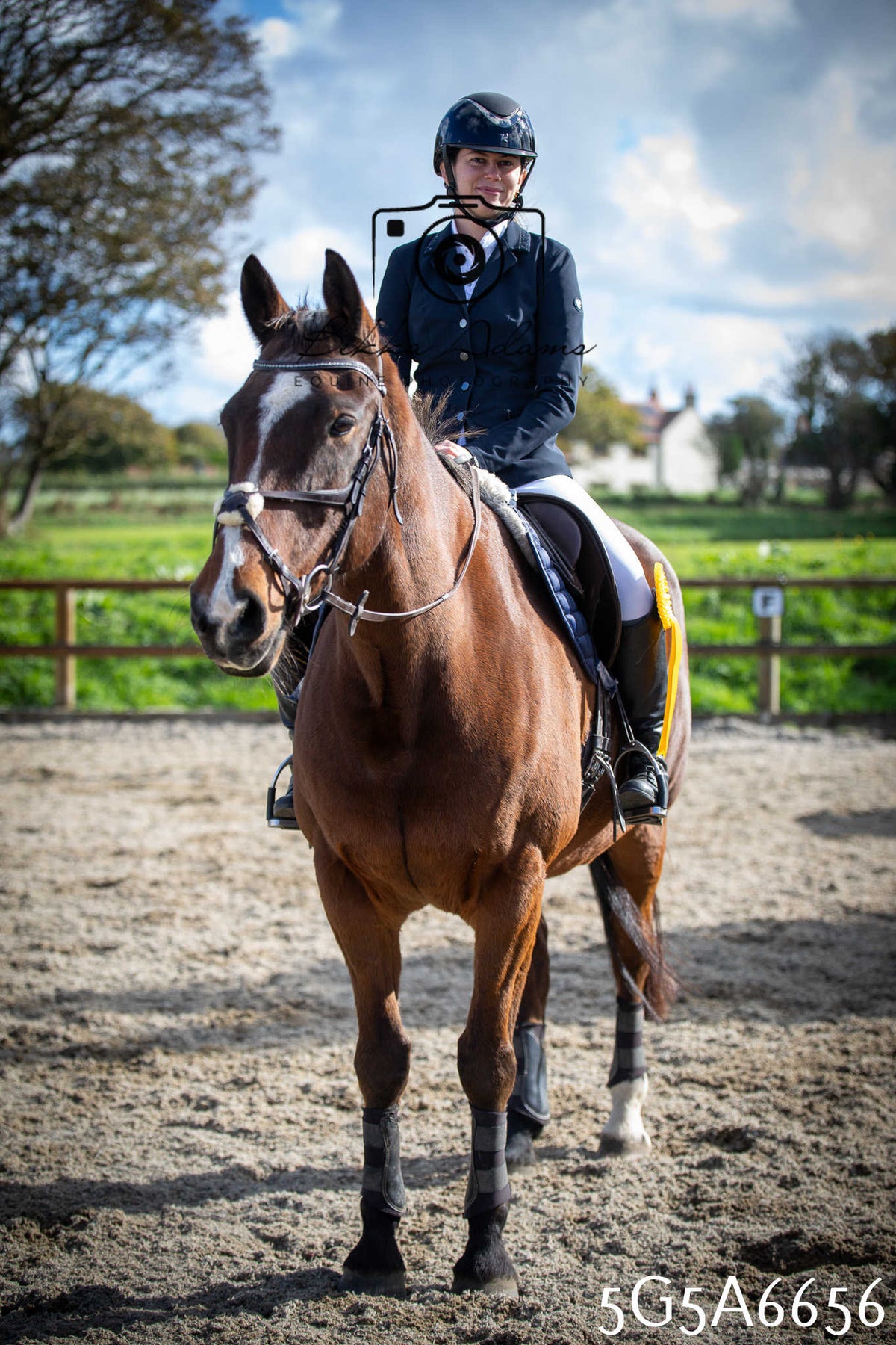 Funshine Show Jumping 2026 - Seniors