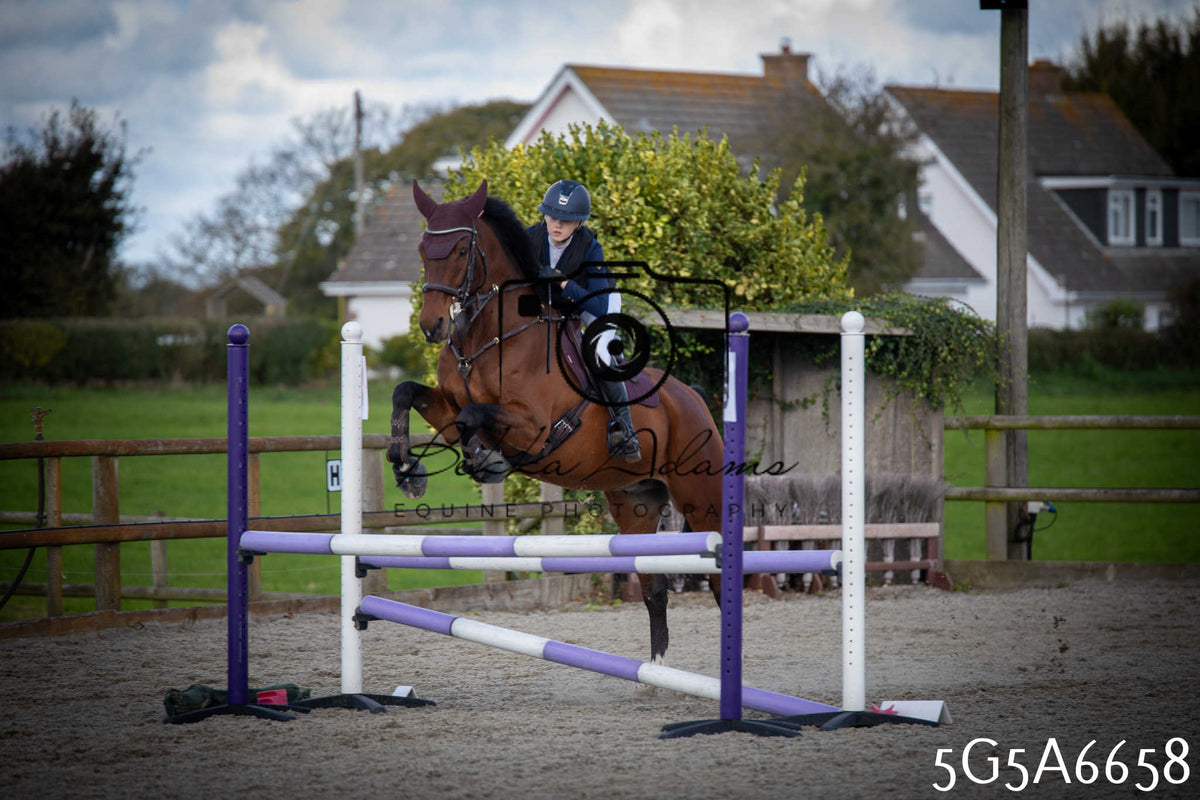 Funshine Show Jumping 2026 - Seniors