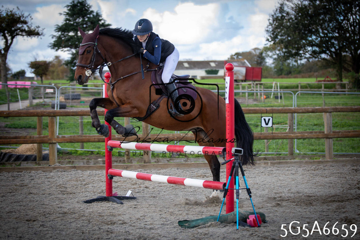 Funshine Show Jumping 2026 - Seniors
