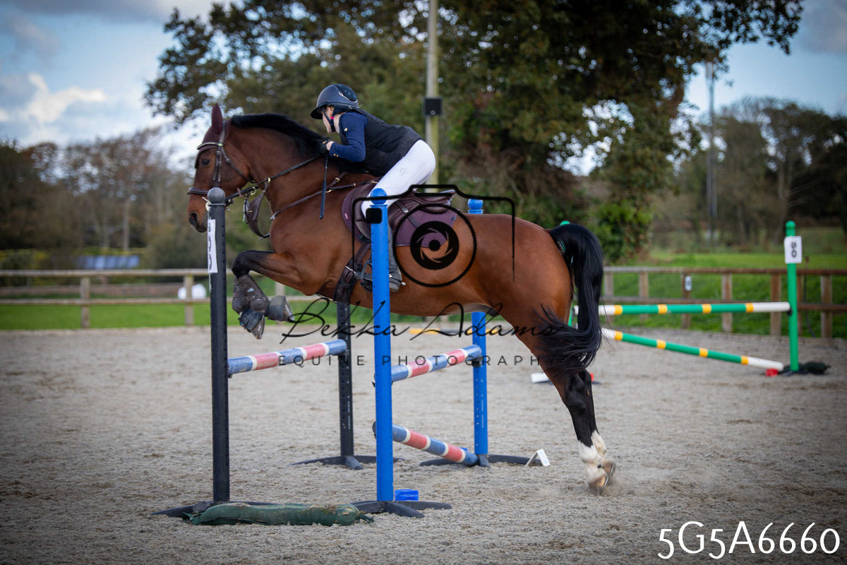 Funshine Show Jumping 2026 - Seniors