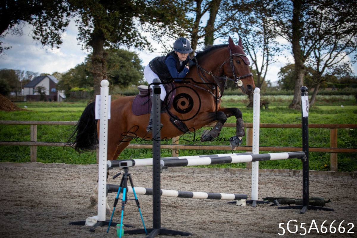 Funshine Show Jumping 2026 - Seniors